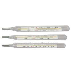 Clinical thermometer