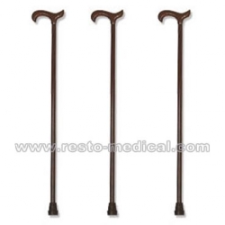 Walking Stick
