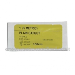 Plain catgut