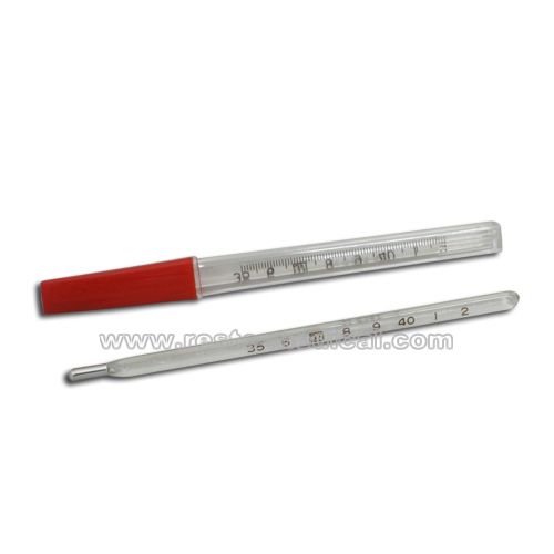 Clinical thermometer